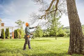 North East, MD Tree Services Company